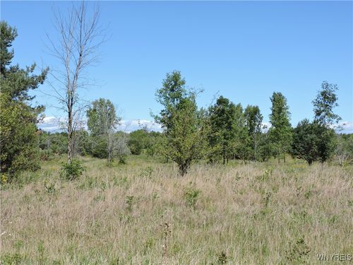 122 Sturgeon Point Road, Evans, NY, 14047 | Card Image