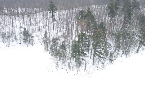 64445 E Bass Lake Rd, Iron River, WI, 54847 | Card Image