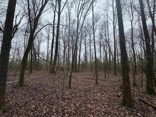 000 Ashley Road 912, Home with 0 bedrooms, 0 bathrooms and null parking in Hamburg AR | Image 31