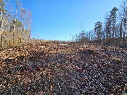 TBD Shelton Store Rd, WINGINA, VA, 24599 | Card Image