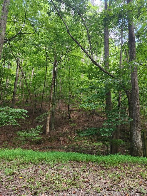 Lot 133 Shiloh Ln, Ellijay, GA, 30540-0635 | Card Image