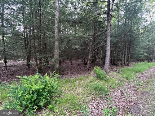 0 Viehdorfer Rd, KARTHAUS, PA, 16845 | Card Image