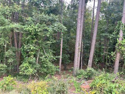 lot 11 Haley, Home with 0 bedrooms, 0 bathrooms and null parking in Greers Ferry AR | Image 1