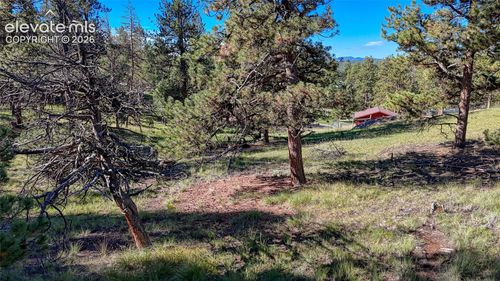 65 Utah Way, Florissant, CO, 80816-9454 | Card Image