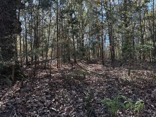 231 Private Rd 8507, Van, TX, 75790 | Card Image