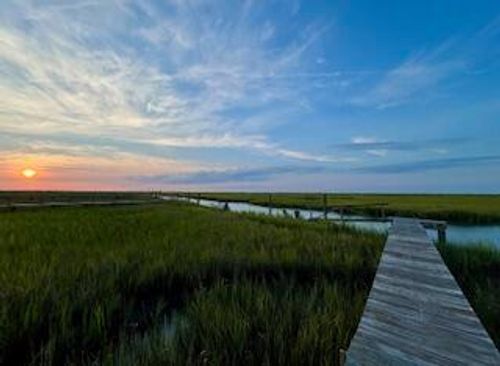0 Hammocks Way, Edisto Island, SC, 29438 | Card Image