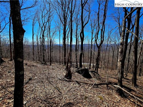 78 Elk Creek Mountain Pkwy, Todd, NC, 28684 | Card Image