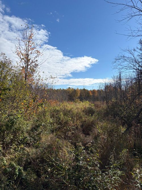 OFF Peterson Rd, Antigo, WI, 54409 | Card Image