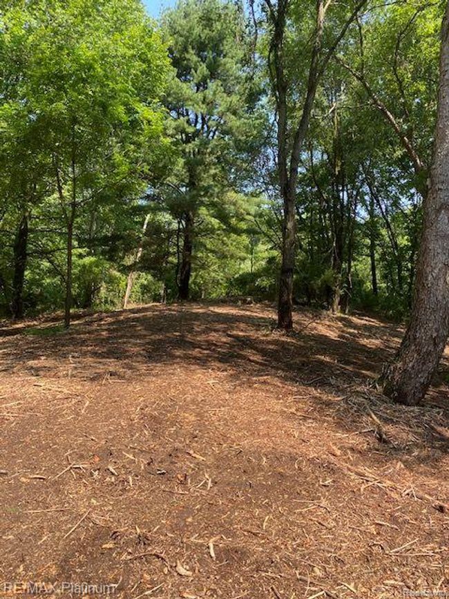 6 Sleaford Parcel 6   2.1 Acres Road, Home with 0 bedrooms, 0 bathrooms and null parking in Howell Township MI | Image 14
