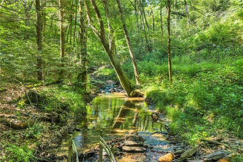 TBD Junaluska Rd, Boone, NC, 28607 | Card Image