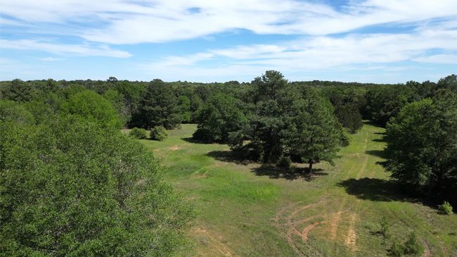 Bird's eye view with a wooded view | Image 10