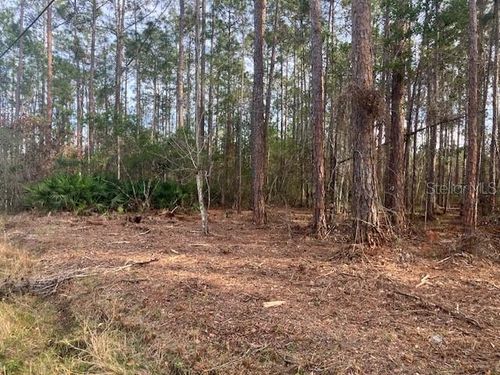 4515 Mahogany Blvd, BUNNELL, FL, 32110-4708 | Card Image