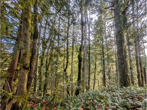 00971354 E Rolling Green Ct, Welches, OR, 97067 | Card Image