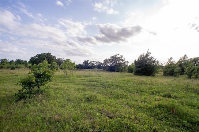 View of local wilderness featuring rural landscape | Image 8