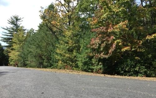 lot 18 Shelton Springs Drive, Hayesville, NC, 28904 | Card Image