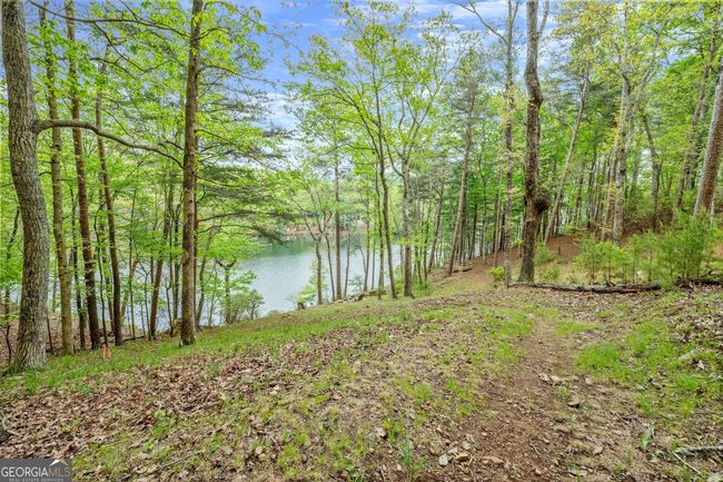19 Long Swamp Dr, House other with 3 bedrooms, 4 bathrooms and null parking in Jasper GA | Image 40