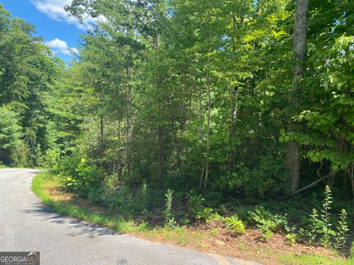 0 Arrendale Dr, Tiger, GA, 30576 | Card Image