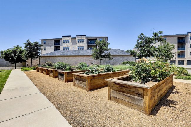 Surrounding community with a garden | Image 27