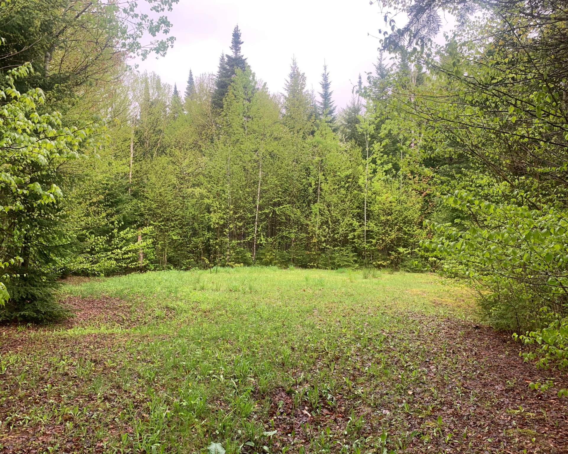 Land in Notre-Dame-des-Bois 5