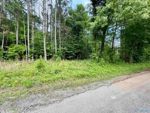 3.90 County Road 235, Leesburg, AL, 35983-5219 | Card Image