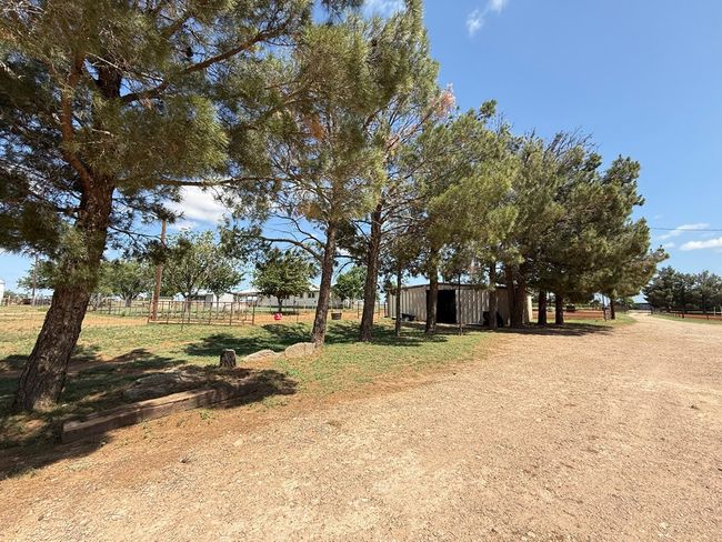 447 W Fm 1606, House other with 3 bedrooms, 2 bathrooms and 2 parking in Ira TX | Image 37