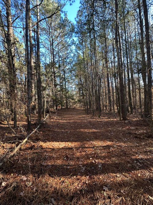 Lot 4 Saggus Rd, Washington, GA, 30673 | Card Image