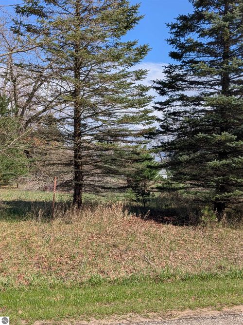 1005 Kent St, Lake Isabella, MI, 48893-9363 | Card Image