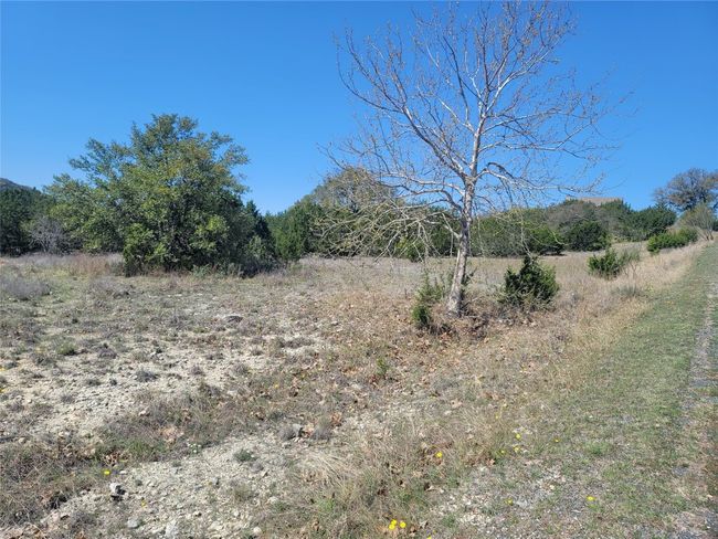 665 Whitewater Dr, Home with 0 bedrooms, 0 bathrooms and null parking in Bertram TX | Image 5