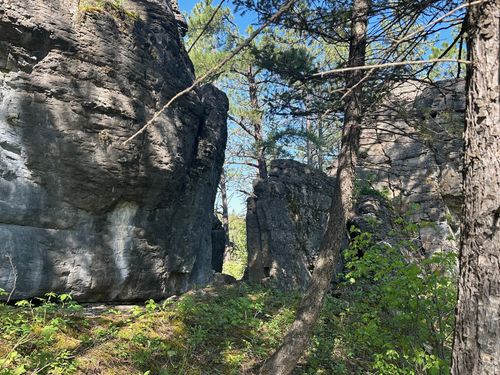 1 Highway 89 N, Monarch, MT, 59463 | Card Image