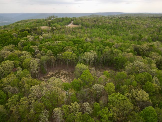 0 Deerwood Dr, Home with 0 bedrooms, 0 bathrooms and null parking in Sewanee TN | Image 39