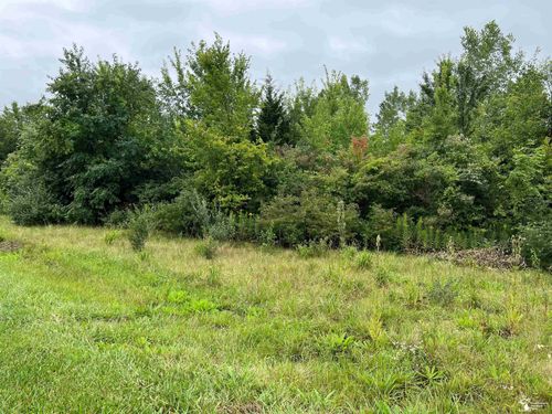 V/L N Telegraph Road, Frenchtown Township, MI, 48162 | Card Image