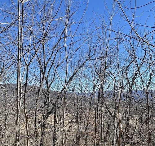 60 & 61J Mountain Harbour, Hayesville, NC, 28904 | Card Image