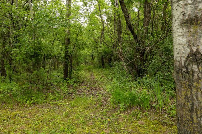 E12060 Twin Oaks Road, House other with 3 bedrooms, 2 bathrooms and null parking in Fairfield WI | Image 42