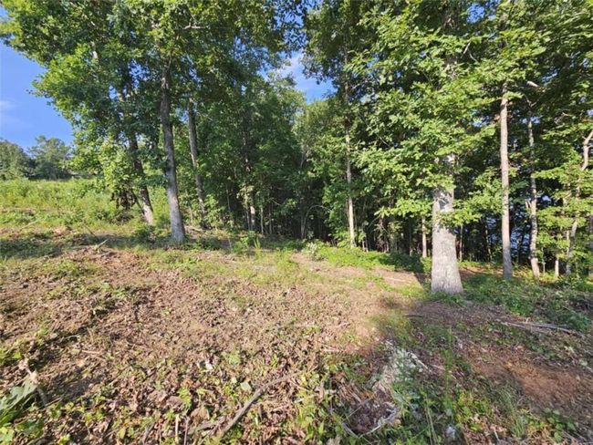237 Southern Trce, Home with 0 bedrooms, 0 bathrooms and null parking in Toccoa GA | Image 5