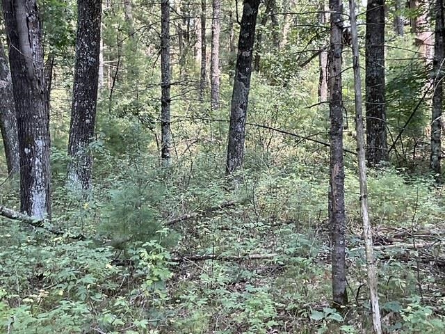 Land in Monroe 4