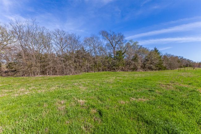 Tree lined property boundary | Image 6