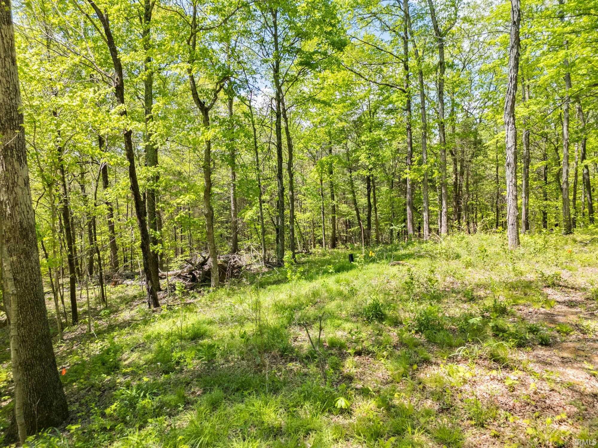Land in Hardinsburg 4