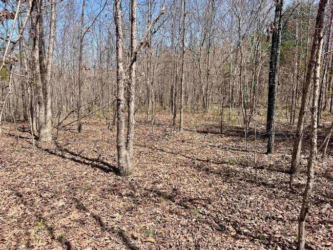 000 Dabney Rd, Home with 0 bedrooms, 0 bathrooms and null parking in Jerusalem AR | Image 16