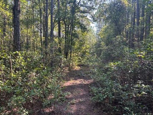 224 Se 8th Ave, PALATKA, FL, 32177 | Card Image