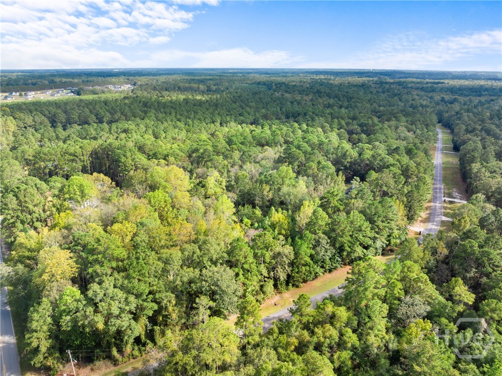 Land in Statesboro