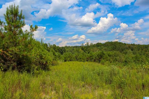 1-1 Highway 13 N, Bankston, AL, 35542 | Card Image