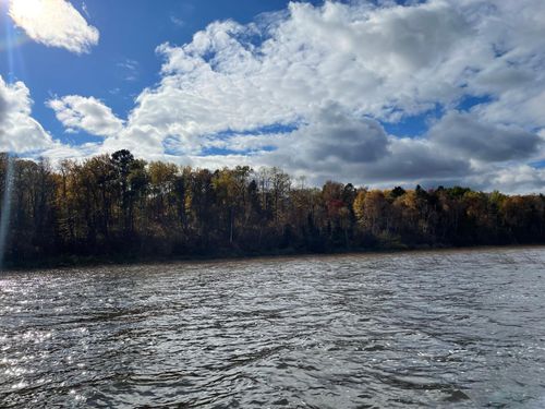 TBD Forest Road 2196e, Squaw Lake, MN, 56681 | Card Image