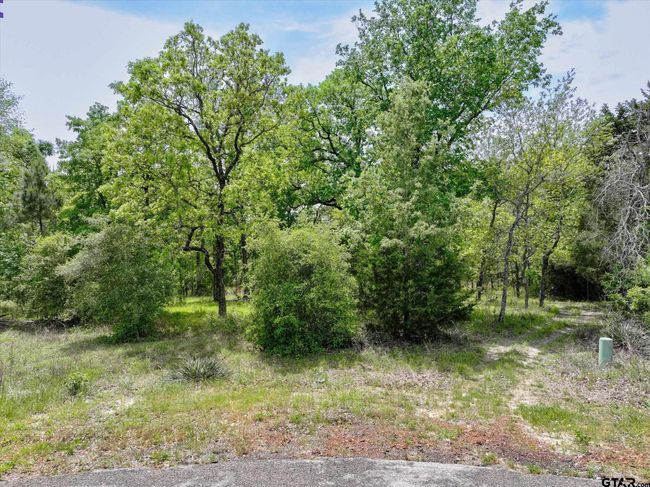 8950 Timber Rdg, Home with 0 bedrooms, 0 bathrooms and null parking in Larue TX | Image 12