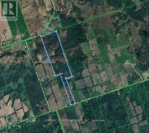 866 Harold Rd, Stirling, ON, K0K3E0 | Card Image