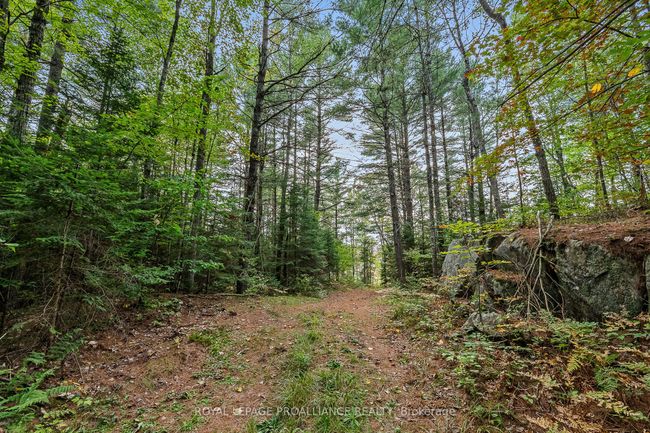 00 Highway 41, Home with 0 bedrooms, 0 bathrooms and null parking in Kaladar ON | Image 6