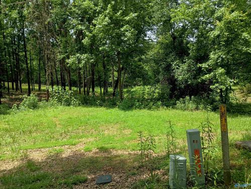 7 Eagles Fair, Glencoe, AL, 35905-8847 | Card Image