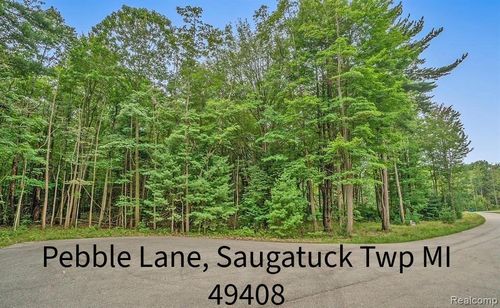 0 Pebble Ln, Fennville, MI, 49408 | Card Image