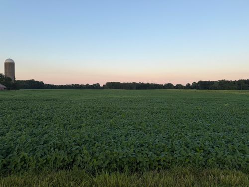 d20-0 Springdale Rd, Marysville, OH, 43040 | Card Image