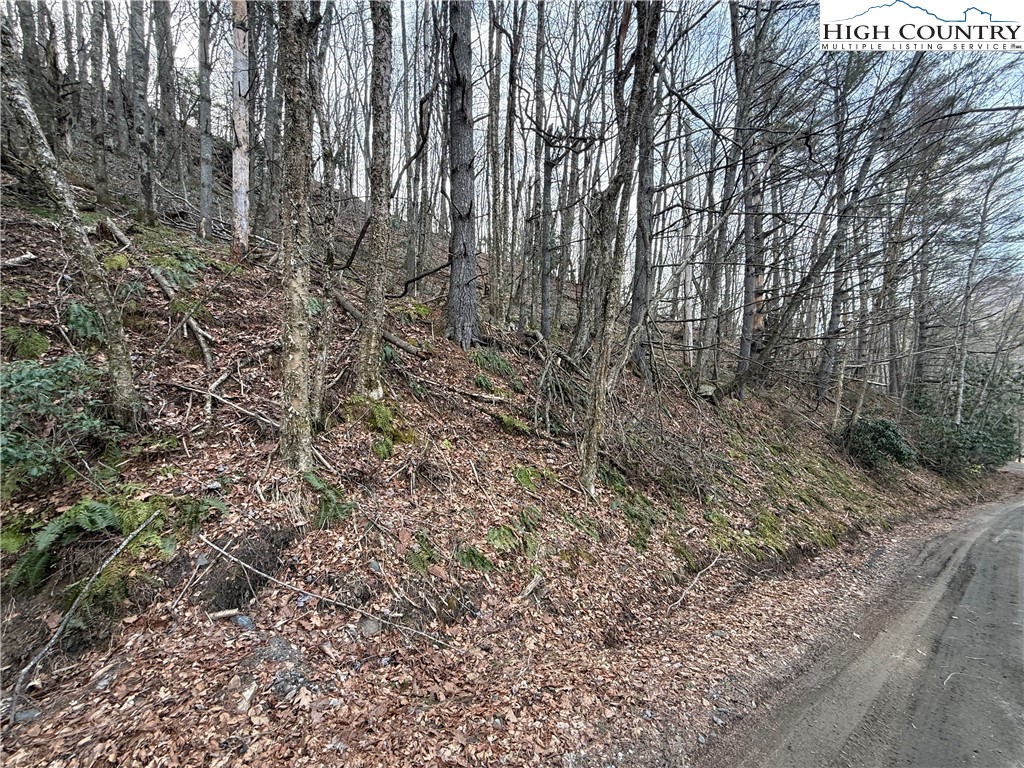 Land in West Jefferson 4