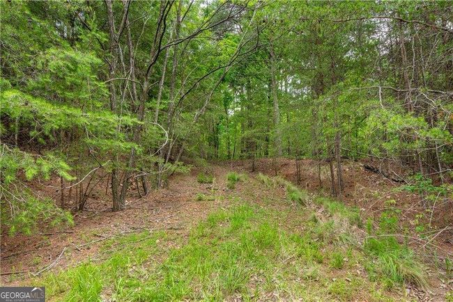 0 Terrace Way, Home with 0 bedrooms, 0 bathrooms and null parking in Jasper GA | Image 7